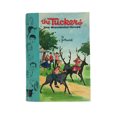 The Wonderful House Book