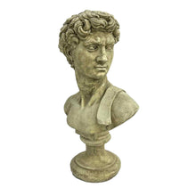 Load image into Gallery viewer, Concrete David Bust