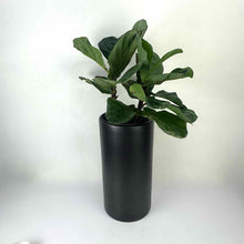 Load image into Gallery viewer, Modern Black Pottery Planter