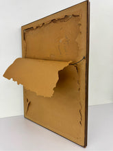 Load image into Gallery viewer, Poppies &amp; Daisies Floral Painting