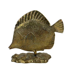 Brass Tropical Fish