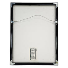 Load image into Gallery viewer, Kuna Mola Tapestry