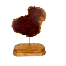 Load image into Gallery viewer, Modern Burl Wood Sculpture