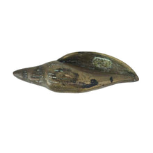 Load image into Gallery viewer, Solid Brass Shell