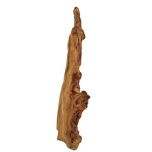 Load image into Gallery viewer, Cypress Knee Sculpture