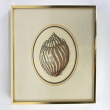 Load image into Gallery viewer, Letterpress Shell Prints