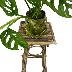 Wooden Branch Plant Stand