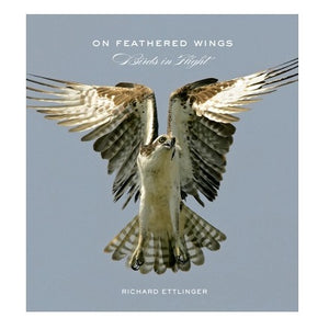 On Feathered Wings Birds Book