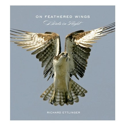 On Feathered Wings Birds Book
