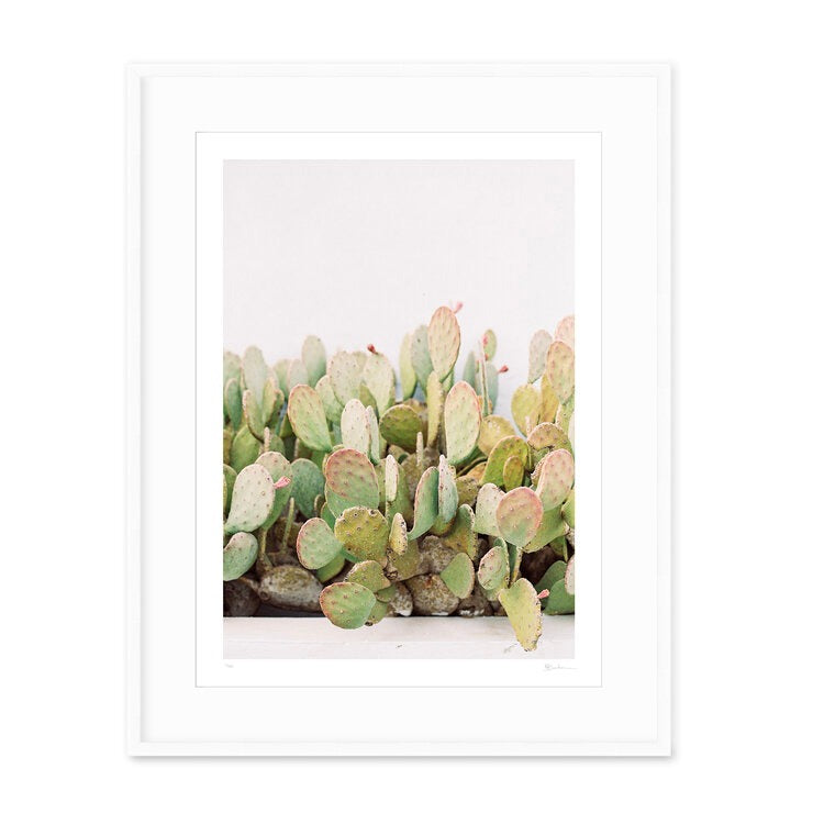 prickly pear cactus wall art Prickly Pear Cactus Wall Print