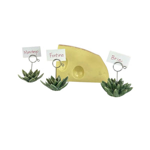 Porcelain Succulent Card Holder