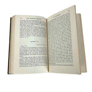 Natural History of Selborne Book