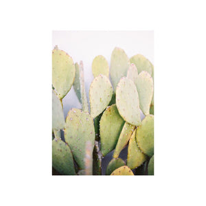 Prickly Pear Cactus Print