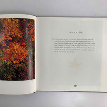 Load image into Gallery viewer, Walking Photography Book