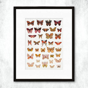 Dolan Geiman Signed Print Butterflies (Dawn)