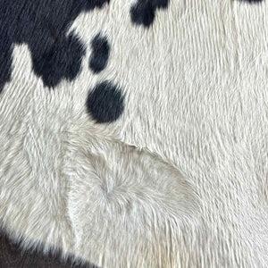 Cowhide Rug