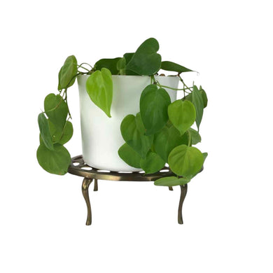 Brass Plant Stand