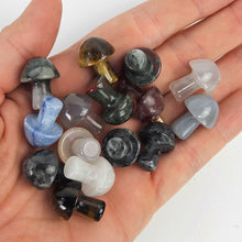 Load image into Gallery viewer, Assorted Mini Stone Mushroom
