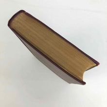 Load image into Gallery viewer, The Wandering Jew Book