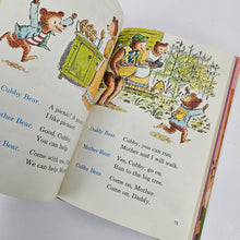 Load image into Gallery viewer, Peppermint Fence Reader Book