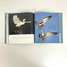 Load image into Gallery viewer, On Feathered Wings Birds Book