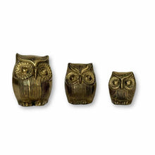 Load image into Gallery viewer, Brass Owl Trio