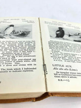 Load image into Gallery viewer, British Birds Book