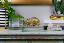 Load image into Gallery viewer, Solid Brass Armadillo