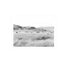 Load image into Gallery viewer, Horses on the Plain Print