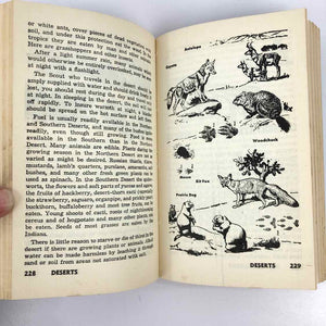 Boy Scout Handbook