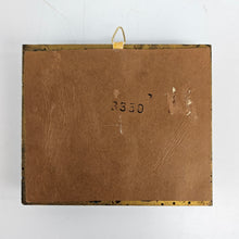 Load image into Gallery viewer, Framed Butterfly Specimen