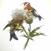 Load image into Gallery viewer, Yellow Framed Bird Prints