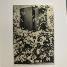 Load image into Gallery viewer, Window Open Intaglio Print