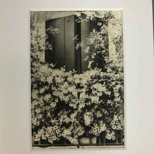 Window Open Intaglio Print