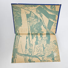 Load image into Gallery viewer, Pollyanna's Jewels Book