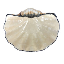 Load image into Gallery viewer, Ceramic Clam Bowl