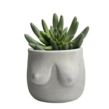 Load image into Gallery viewer, Concrete Boob Planter