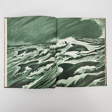 Load image into Gallery viewer, Skipper the Dolphin Book