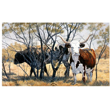 Load image into Gallery viewer, Longhorns Signed Print