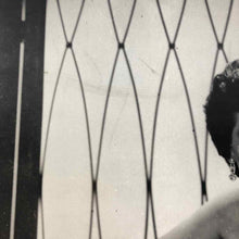 Load image into Gallery viewer, Ava Gardner Photo