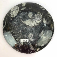 Load image into Gallery viewer, Ammonite Fossil Dish