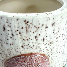 Load image into Gallery viewer, Arnels Mushroom Canisters