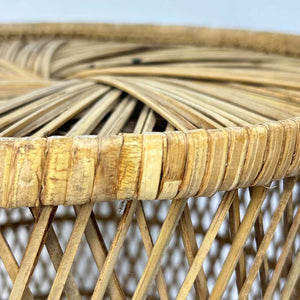 Wicker Plant Stand