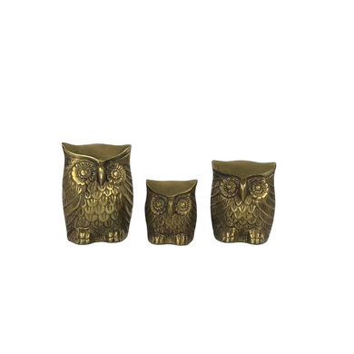 Brass Owl Family