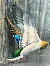 Load image into Gallery viewer, Flying Ducks Painting