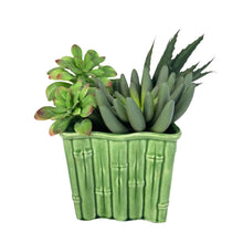 Load image into Gallery viewer, Bamboo Pottery Planter