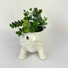 Load image into Gallery viewer, Pottery Turtle Planter