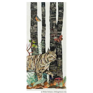 Dolan Geiman Signed Print Midnight Forest (Bobcat)