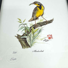 Load image into Gallery viewer, Framed Meadowlark  Print