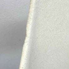 Load image into Gallery viewer, Modern Fiberglass Shell Chairs